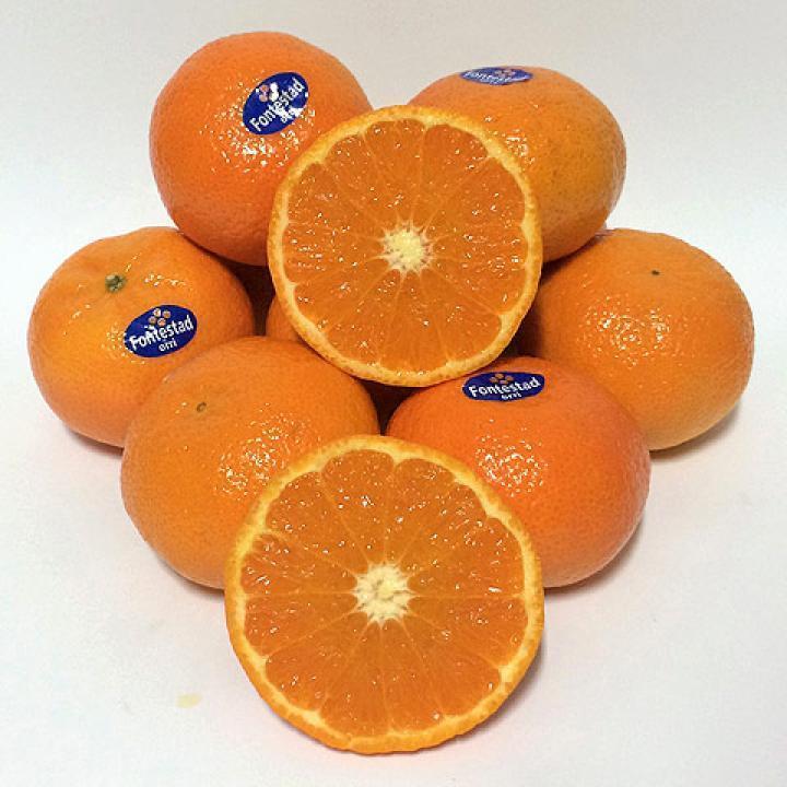 Mandarina Oronule Fontestad